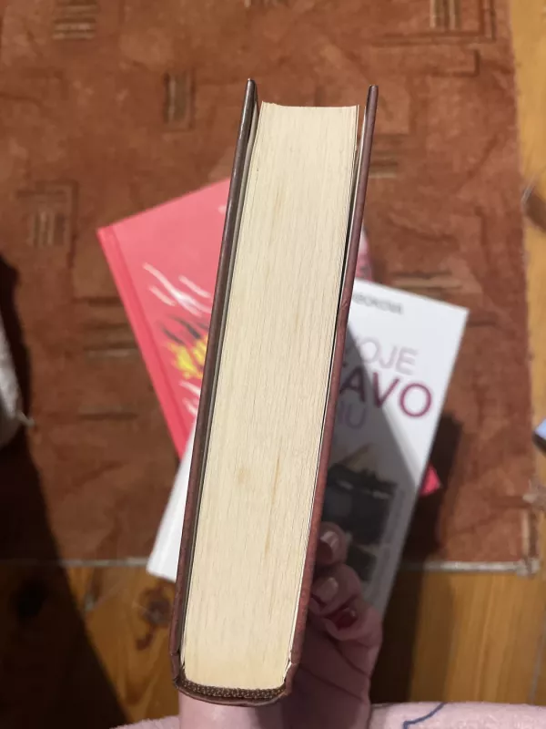 Dingęs be žinios - Dror Mišani, knyga 3