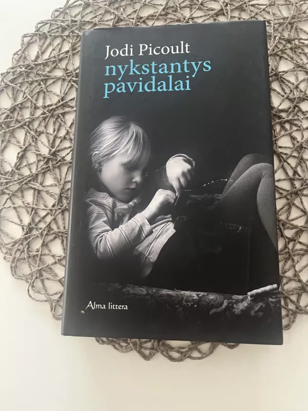 Nykstantys pavidalai - Jodi Picoult, knyga 2