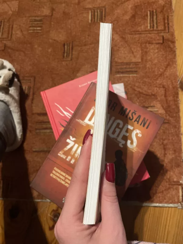 Žibėjusi žvaigždė - Linas Šapoka, knyga 4