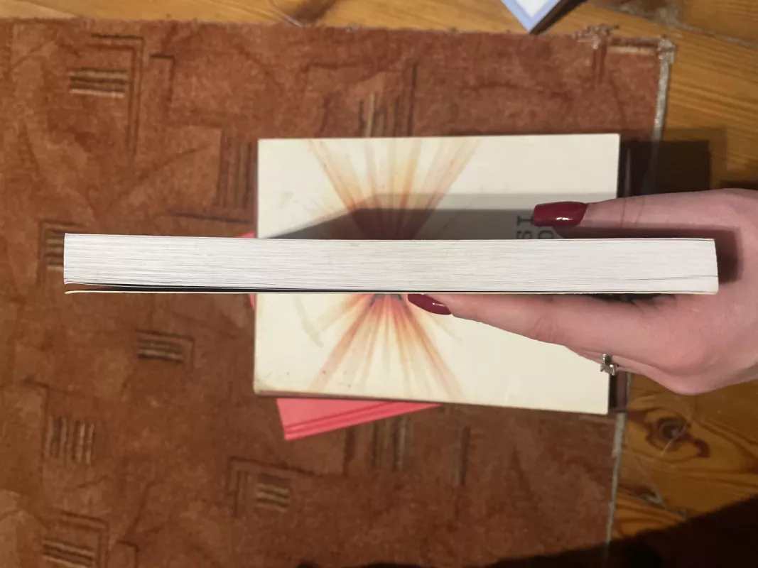 Užgesę spinduliai - Linas Šapoka, knyga 4