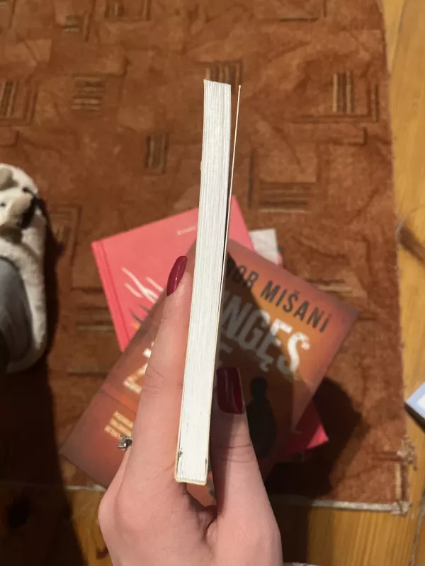 Žibėjusi žvaigždė - Linas Šapoka, knyga 5