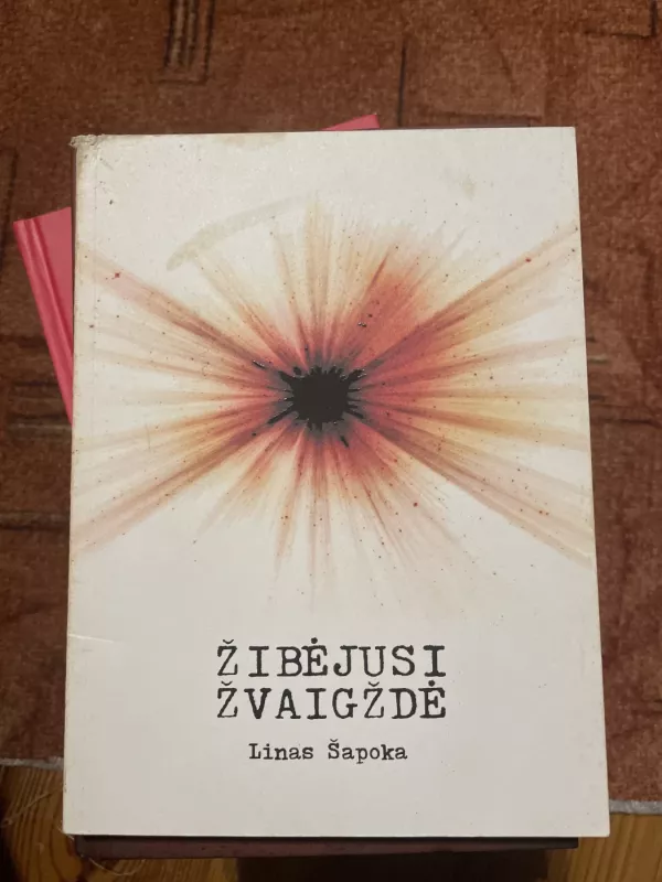Žibėjusi žvaigždė - Linas Šapoka, knyga 2