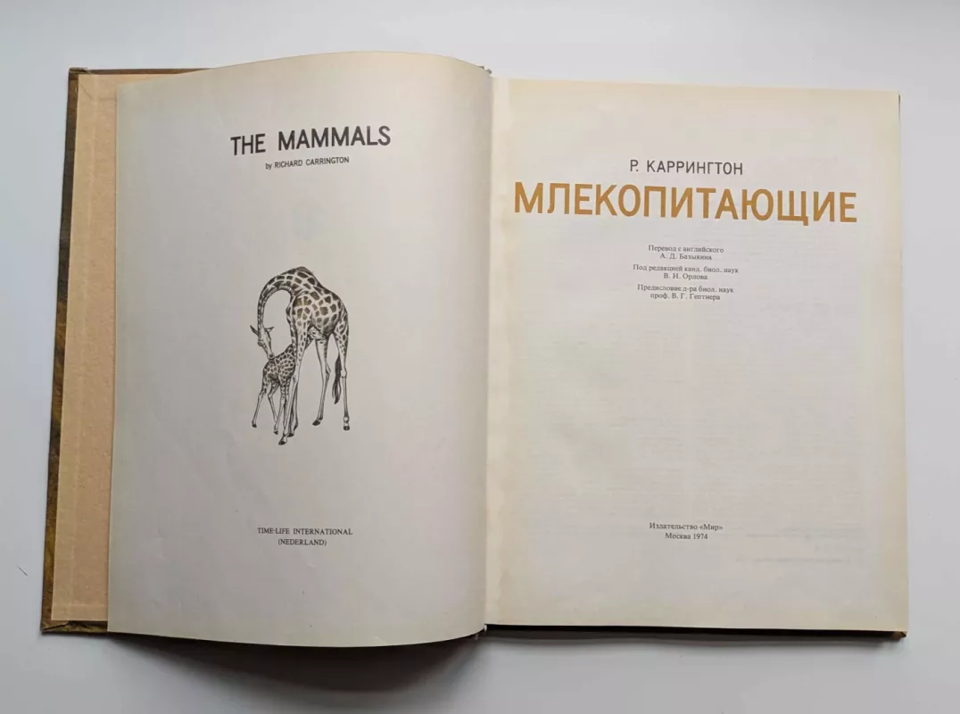Žinduoliai (rusų k.) 1974 - Ričardas Carringtonas, knyga 3