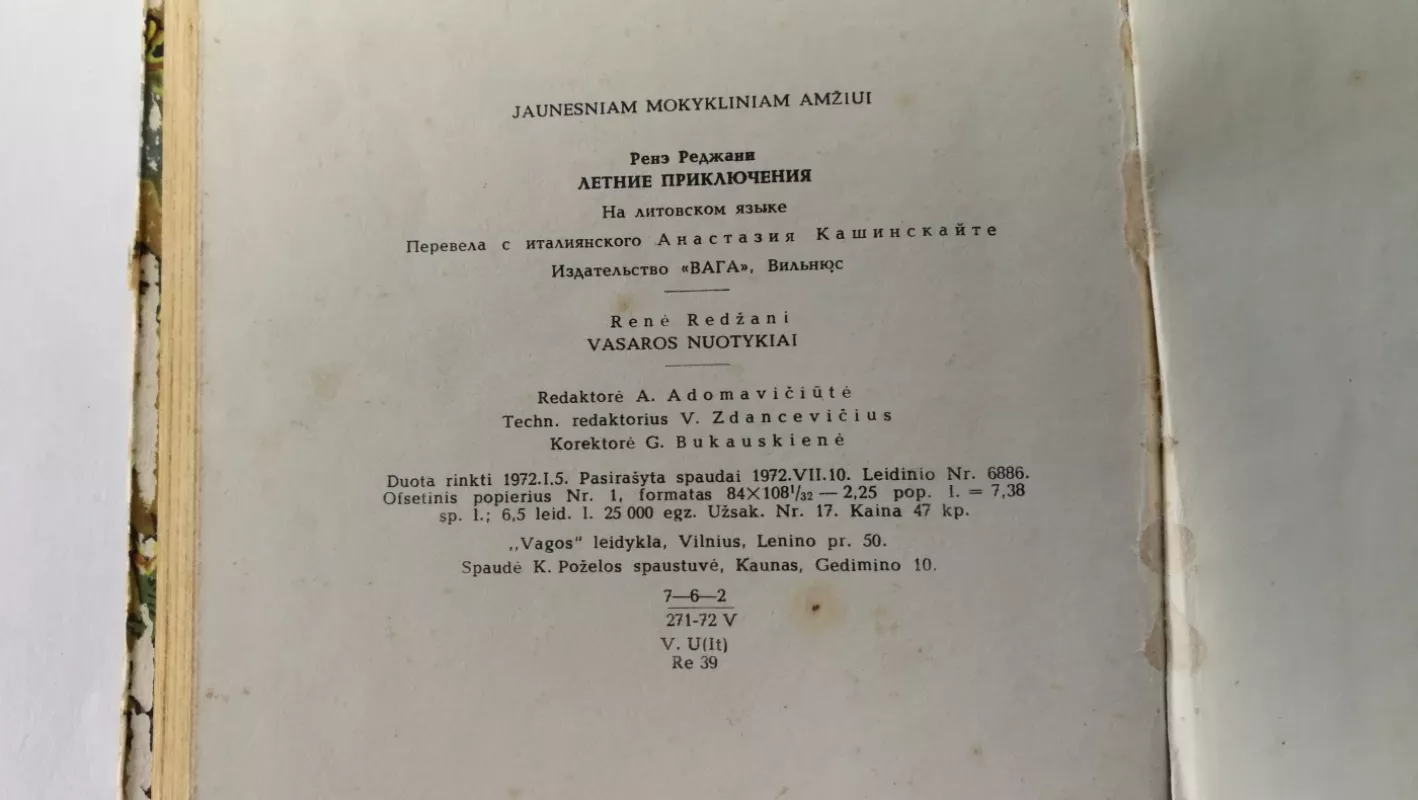 Vasaros nuotykiai - Renė Redžani, knyga 4