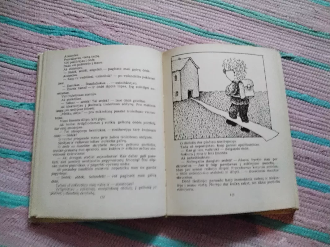 Danuko Dunduliuko nuotykiai - Vytautas Misevičius, knyga 4