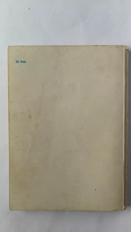 Kino teatras degtukų dėžutėje - Vladimiras Stoišinas, knyga 6