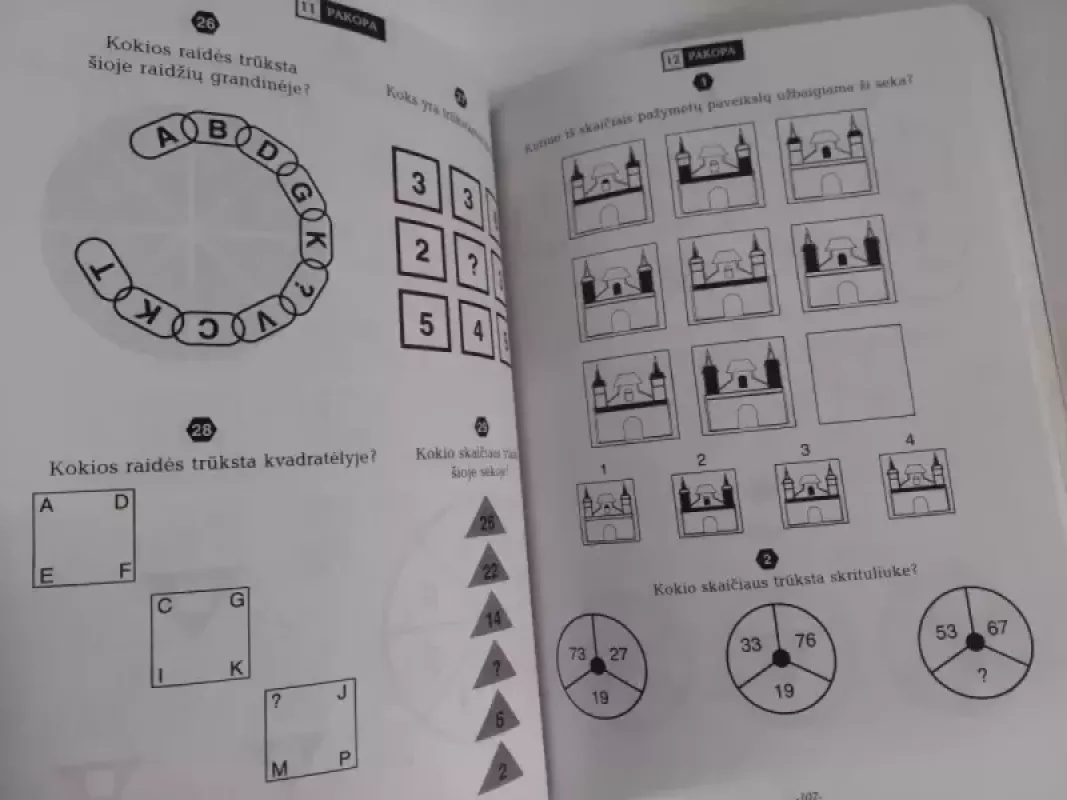 IQ. Intelekto lavinimo pratimai - Autorių Kolektyvas, knyga 3