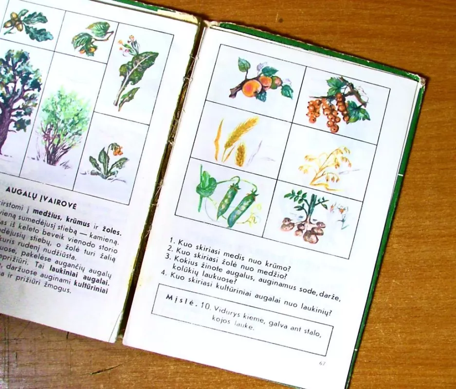 Aplinkos pažinimas II klasei - S. Molis, B.  Rimkevičienė, knyga 4