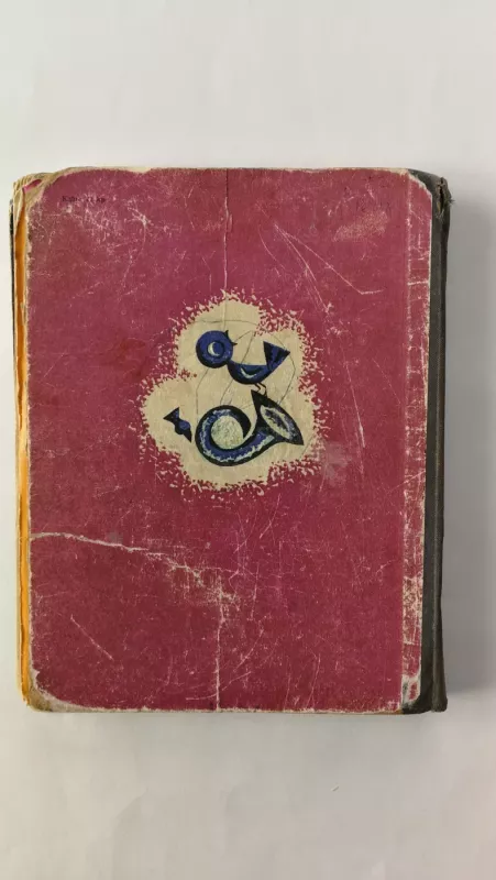 Didysis medžiotojas Mikas Pupkus - Vytautas Petkevičius, knyga 6