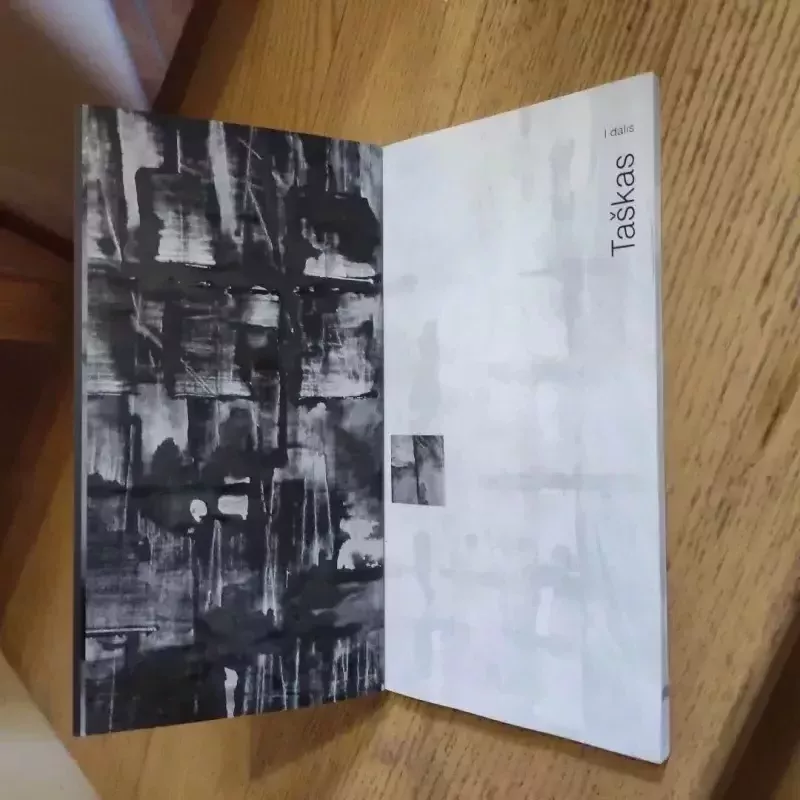 Baltas kvadratas juodame fone - Daiva Molytė - Lukauskienė, knyga 3