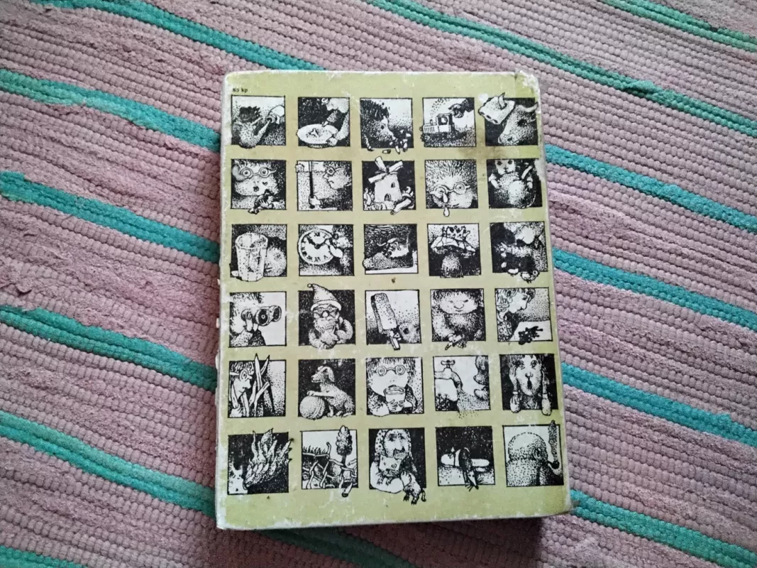 Danuko Dunduliuko nuotykiai - Vytautas Misevičius, knyga 5