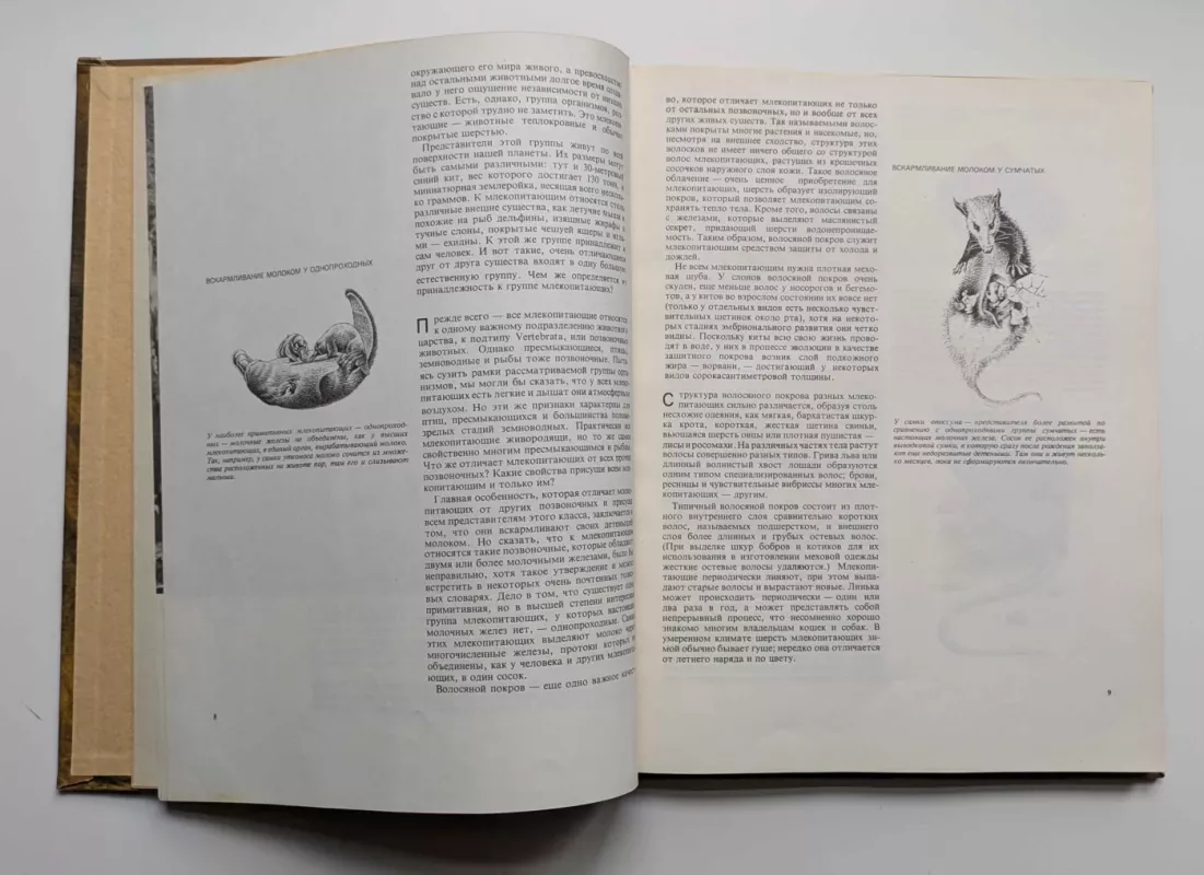 Žinduoliai (rusų k.) 1974 - Ričardas Carringtonas, knyga 4