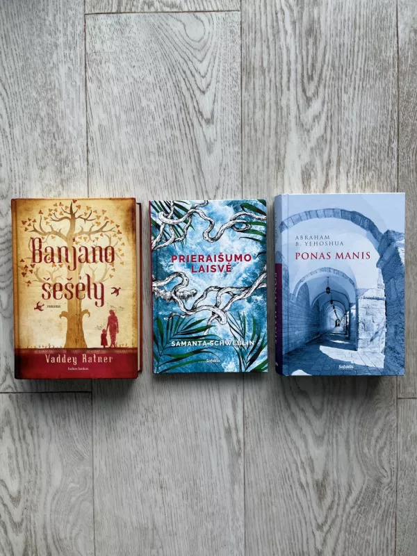 Banjano šešėly - Waddey Ratner, knyga 2