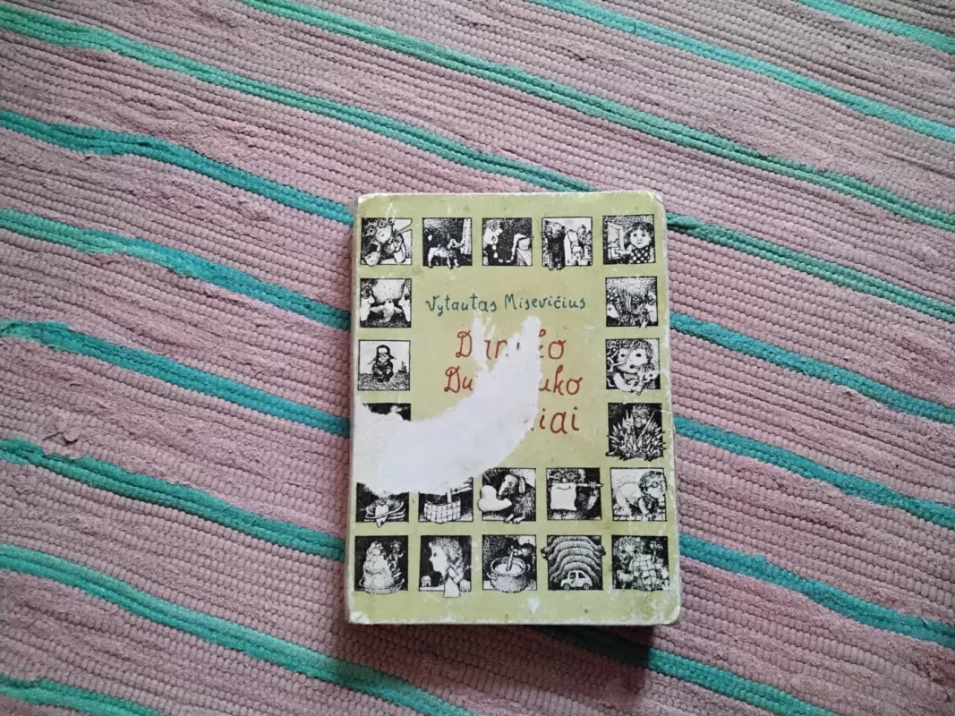 Danuko Dunduliuko nuotykiai - Vytautas Misevičius, knyga 6