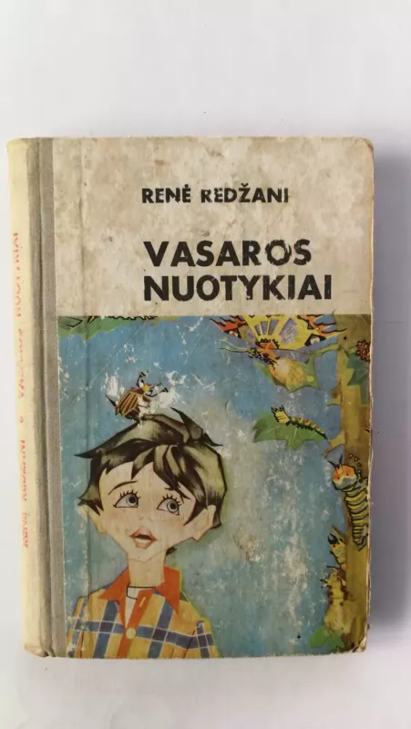 Vasaros nuotykiai - Renė Redžani, knyga 2