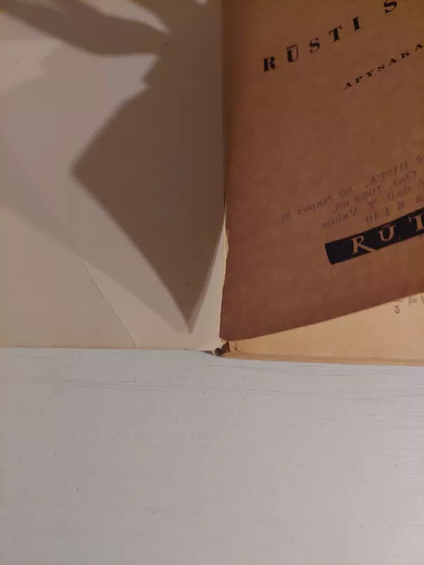 Rūsti siena - Stasius Būdavas, knyga 4