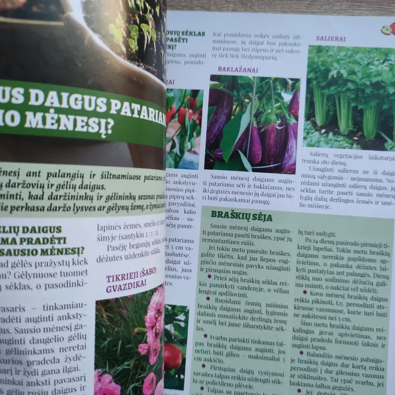 Daržas sodas namai 2020m. Sausis - Grupė autorių , knyga 5