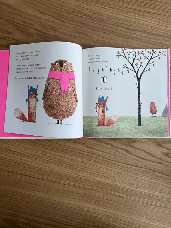 Eime slėpynių - Chris Naylor-Ballesteros, knyga 4