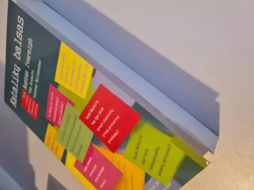 Katalikų balsas. Kaip aiškiai pristatyti Bažnyčios poziciją - Austen Ivereigh, knyga 3