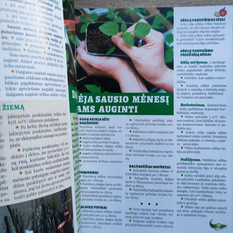 Daržas sodas namai 2020m. Sausis - Grupė autorių , knyga 6