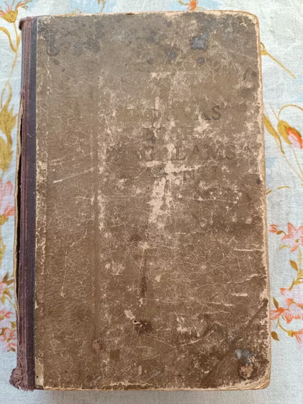 Vadovas LTSR augalams pažinti - Povilas Snarskis, knyga 2