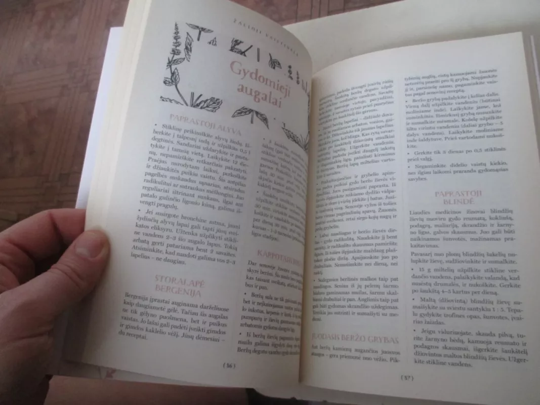 Skauda galvą? Kakta braukite per lango stiklą - Dominika Balčiūnė, knyga 5