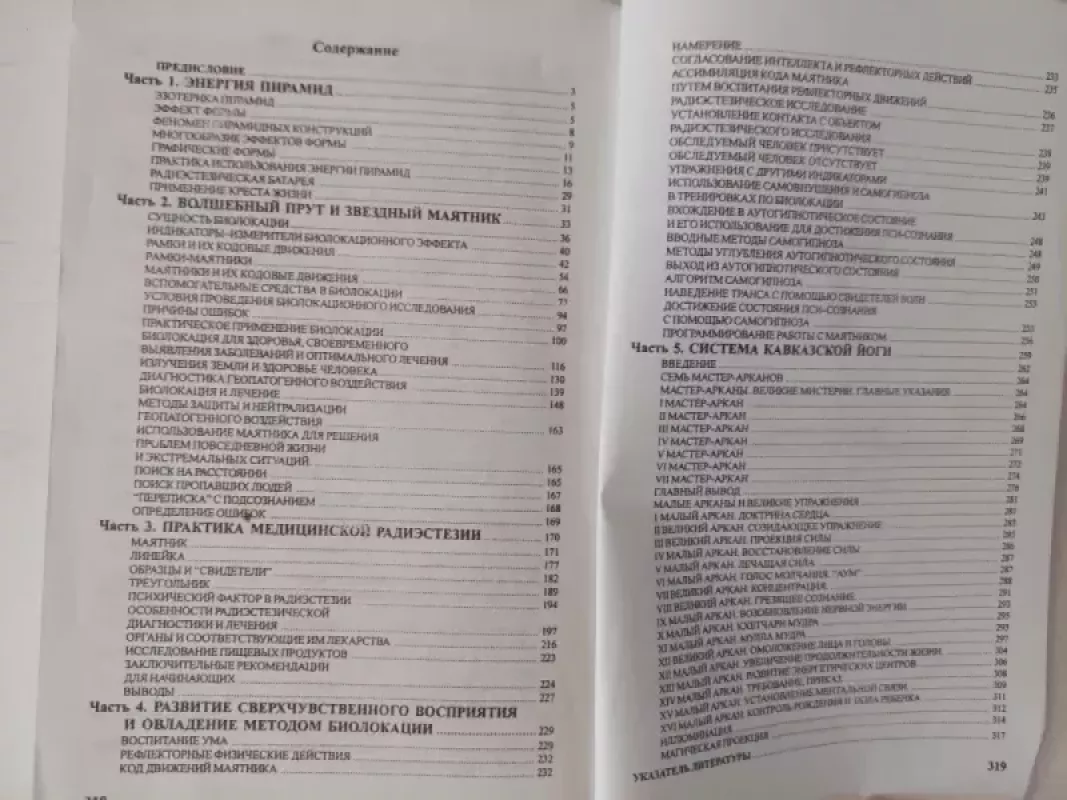 Piramidžių energija - A. Litvinenko, knyga 4