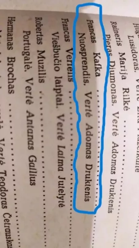 Nuosprendis - Francas Kafka, knyga 2