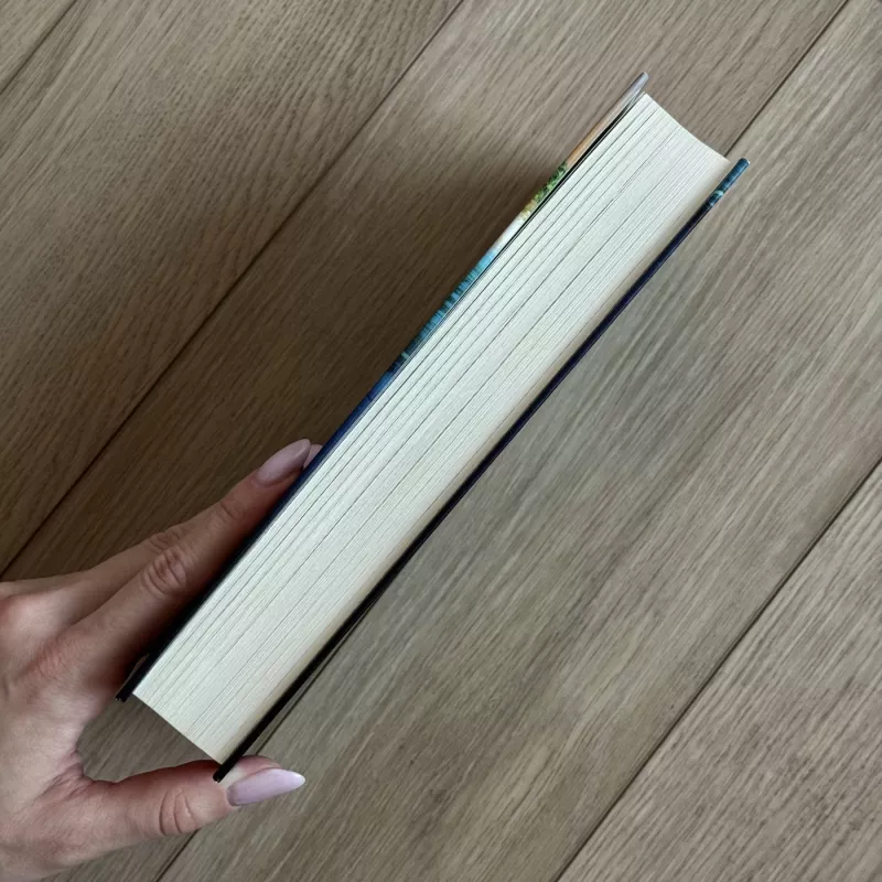 Išgyvenę - Lucy Clarke, knyga 5