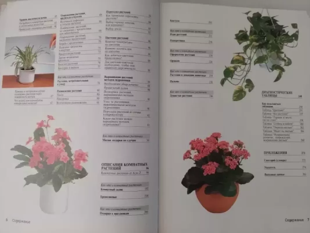 Gėlės ištisus metus - Jurgen Volf, knyga 4