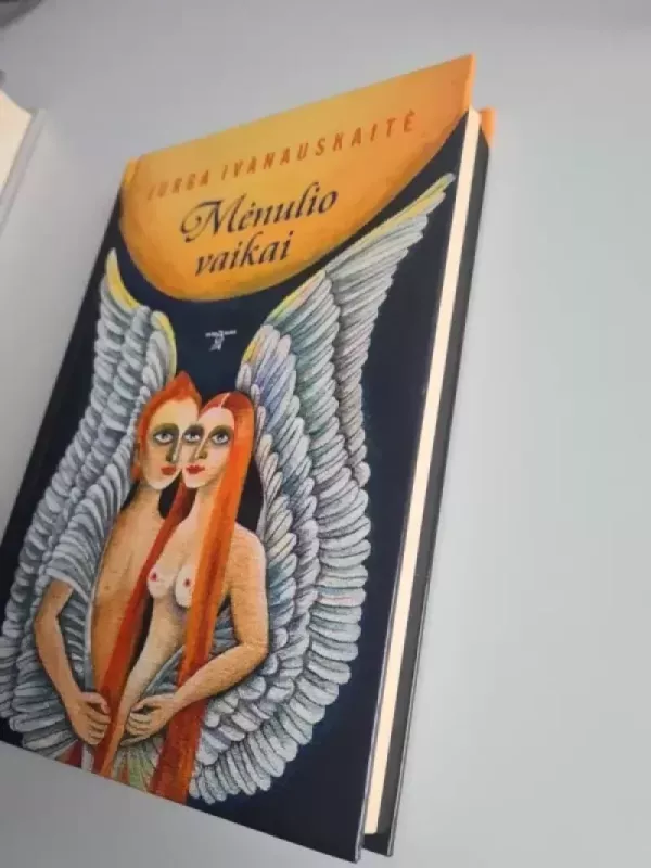 Mėnulio vaikai - Jurga Ivanauskaitė, knyga 4