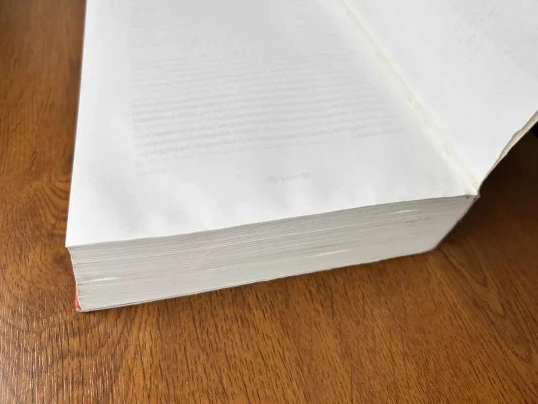 Žemės stulpai - Ken Follett, knyga 3