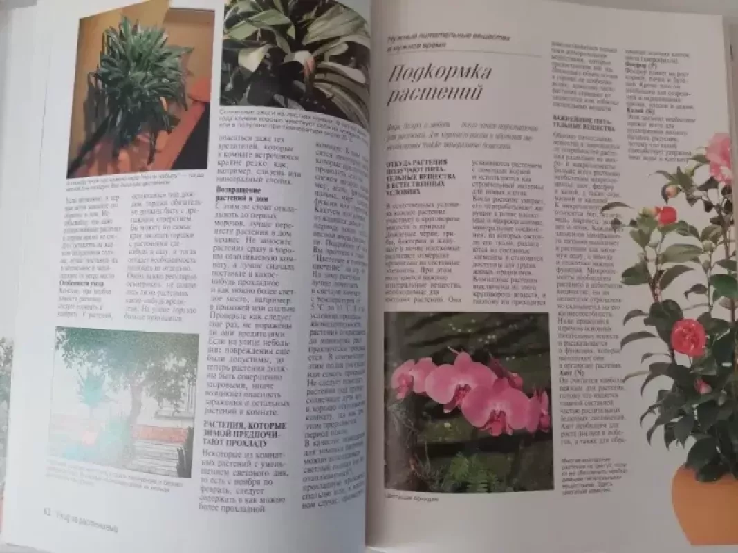 Gėlės ištisus metus - Jurgen Volf, knyga 5