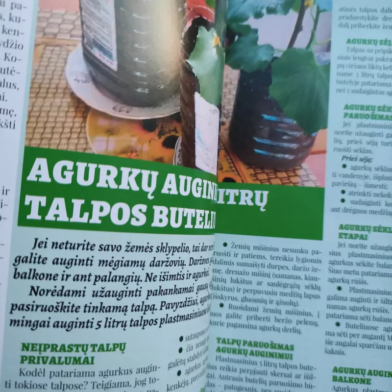 Daržas sodas namai 2020m. Sausis - Grupė autorių , knyga 4