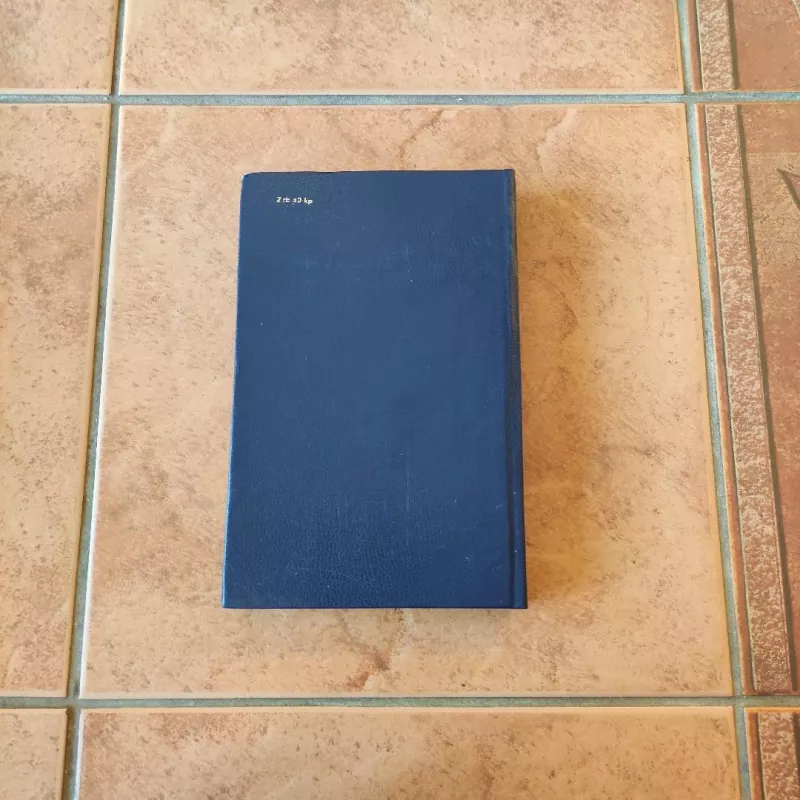 Puritonai - Valteris Skotas, knyga 3