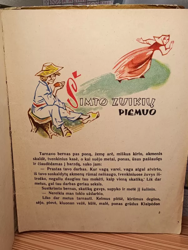 Šimto zuikių piemuo - Aldona Liobytė, knyga 3