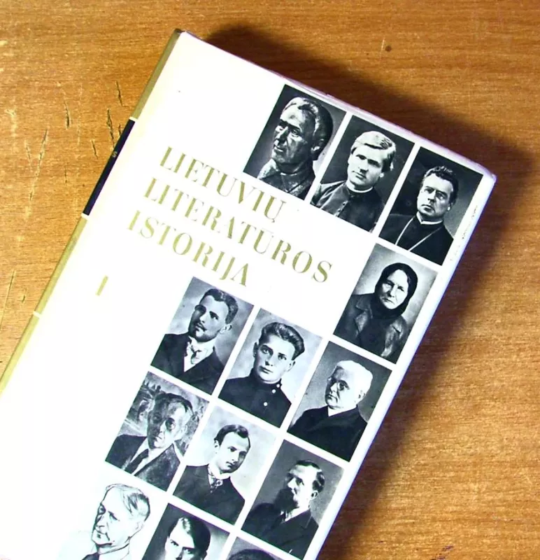 Lietuvių literatūros istorija (2 tomai) - Autorių Kolektyvas, knyga 3