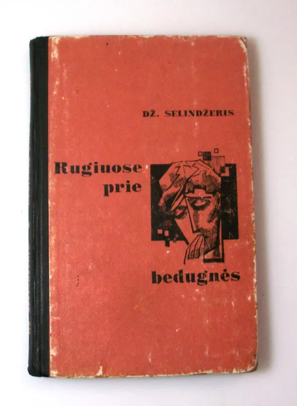 Rugiuose prie bedugnės - Džeromas Selindžeris, knyga 4