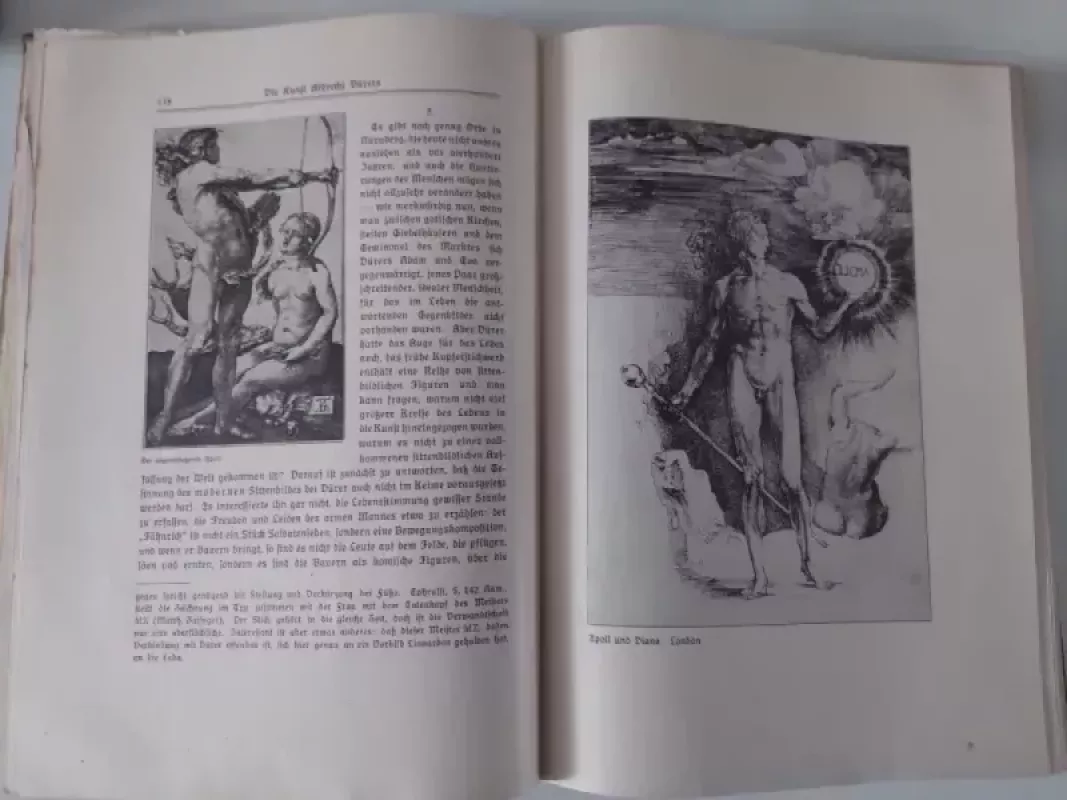 Albrecht Durer darbai - Heinrich Wolfflin, knyga 5