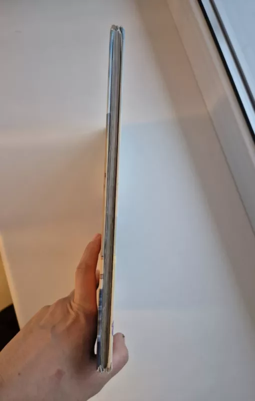 Oliveris ir jo draugai - Walt Disney, knyga 5