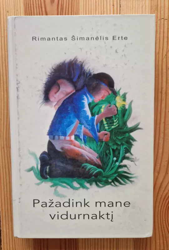 Pažadink mane vidurnaktį - Rimantas Šimanėlis Erte, knyga 3