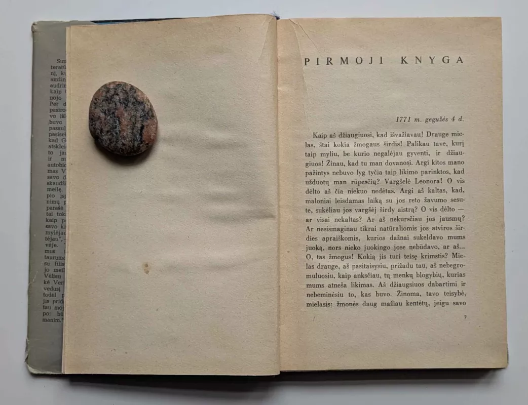 Jaunojo Verterio kančios - Johanas Volfgangas Gėtė, knyga 5