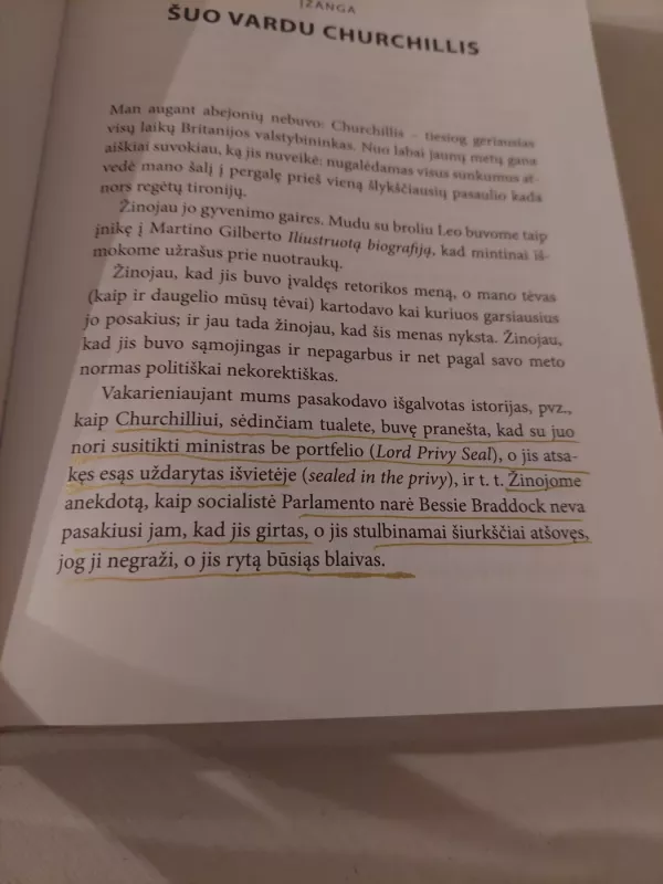 Churchillio veiksnys. Kaip vienas žmogus lėmė istoriją - Boris Johnson, knyga 4