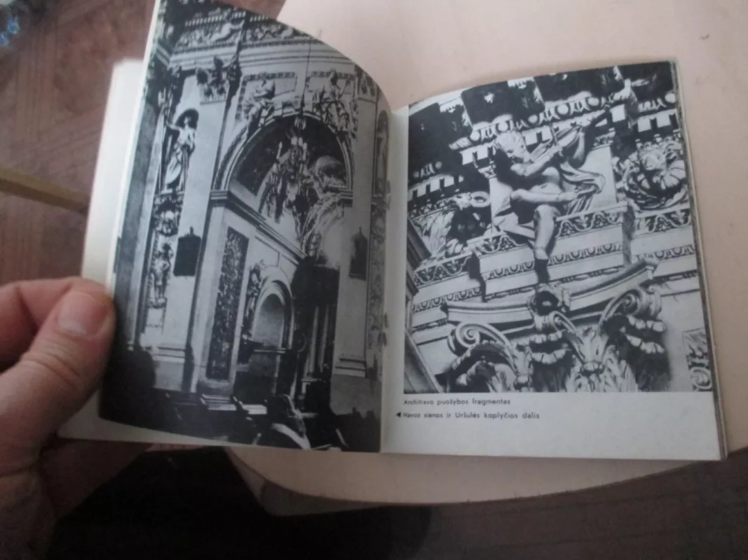 Baroko šedevras - Stasys Samalavičius, knyga 6