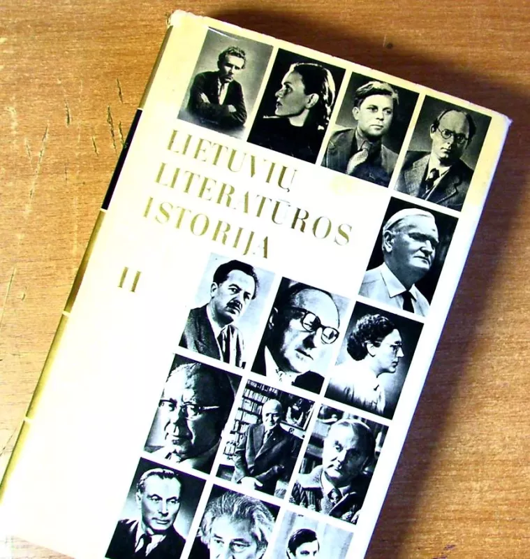 Lietuvių literatūros istorija (2 tomai) - Autorių Kolektyvas, knyga 4