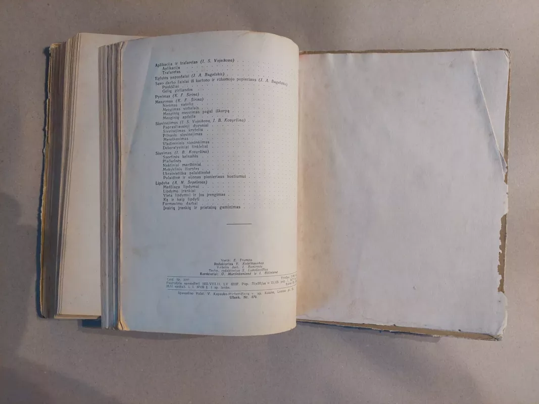 Darbščiosios rankos - Autorių Kolektyvas, knyga 4