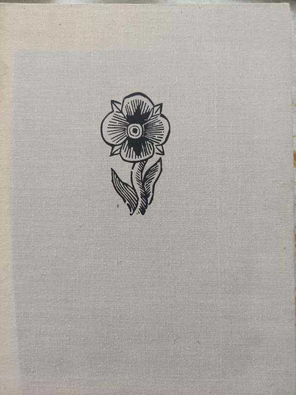 Lietuvių liaudies menas Grafika Tapyba - P. Galaunė, knyga 2