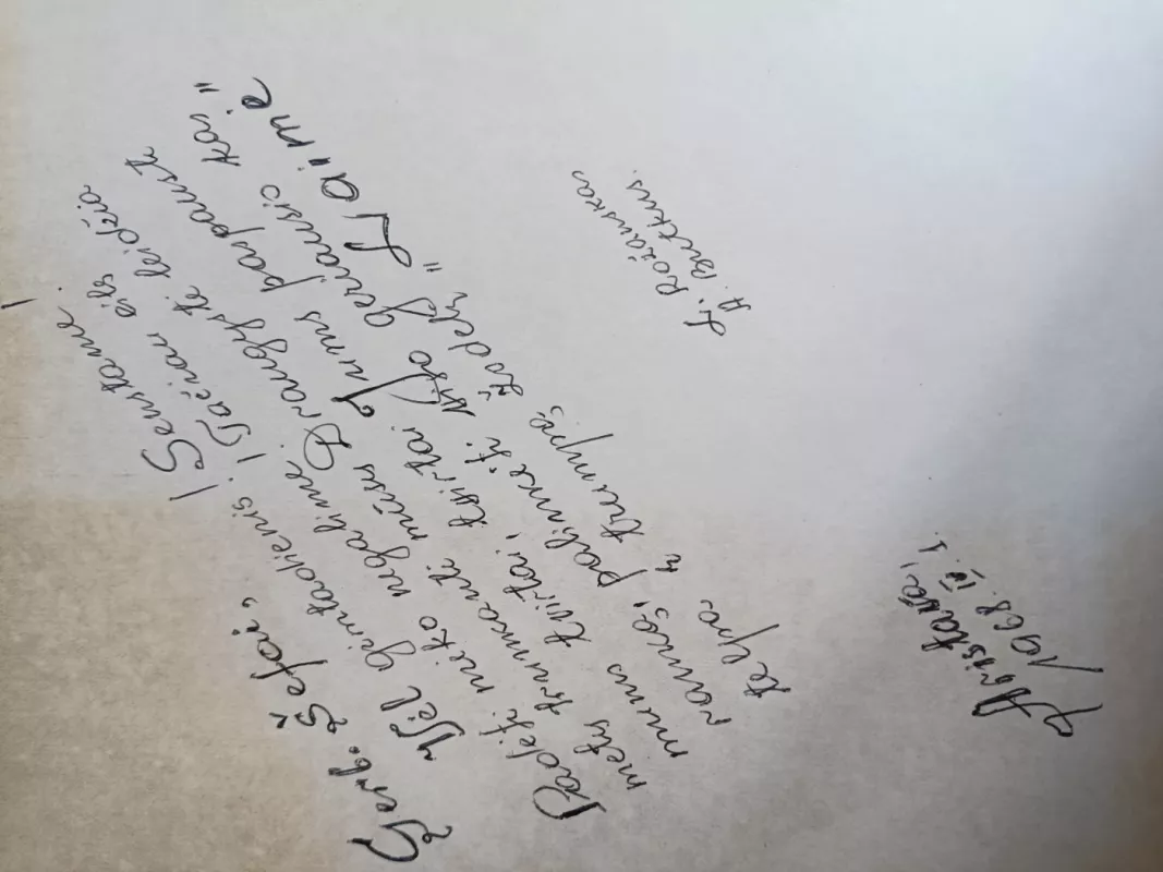 Lietuvių liaudies menas Grafika Tapyba - P. Galaunė, knyga 4