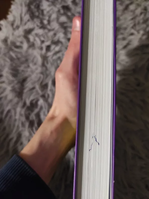 Tiesiog klausykitės: veiksmingi patarimai ir metodai, kaip išklausyti, suprasti ir bendrauti - Mark Goulston, knyga 4