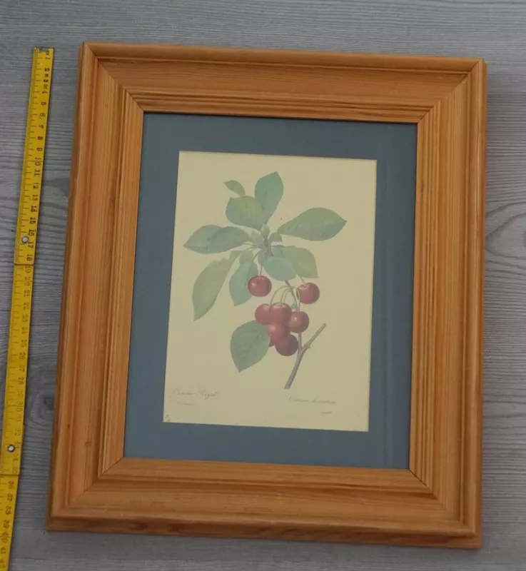 Senovine litografija - , namai ir interjeras 4